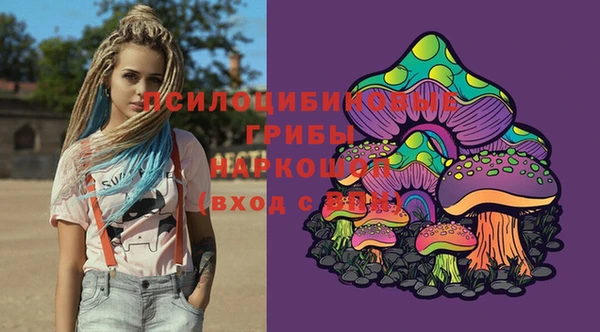 тгк Горняк