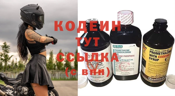 гидра Бородино
