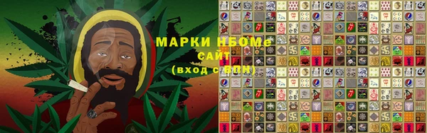 гидра Бородино