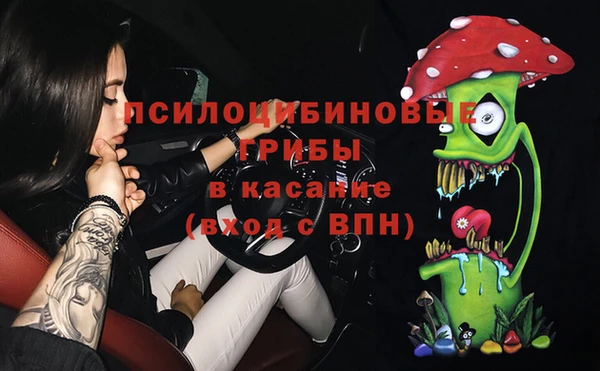 гидра Бородино