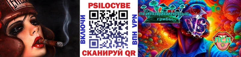 Галлюциногенные грибы Magic Shrooms  Купить  Волхов 